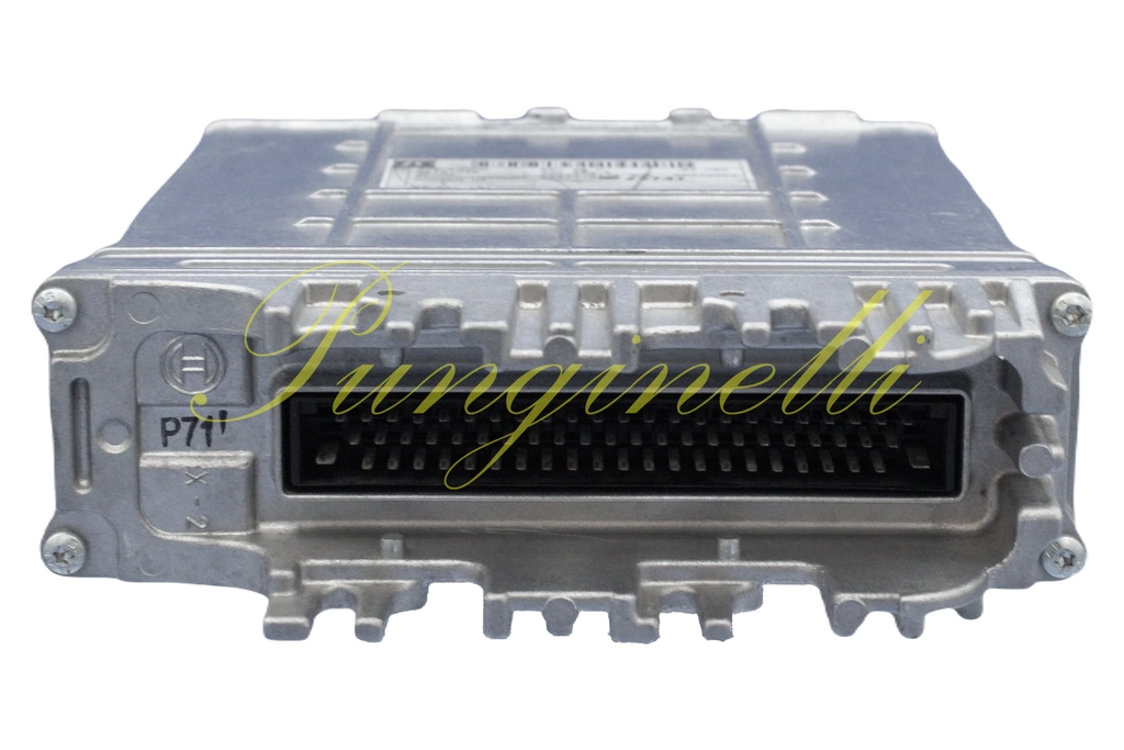 ZF 6009390001